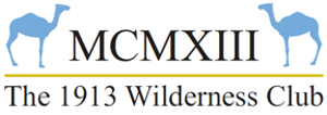 1913 Logo 300